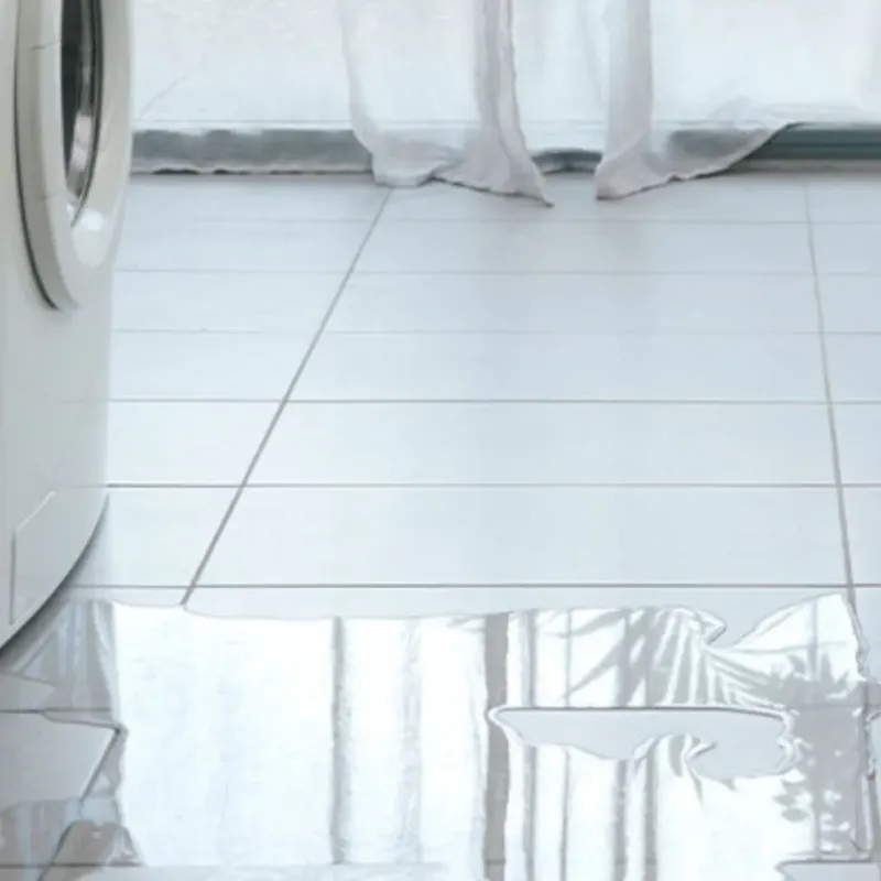 Appliance Leak Cleanup in Big Sandy, TX