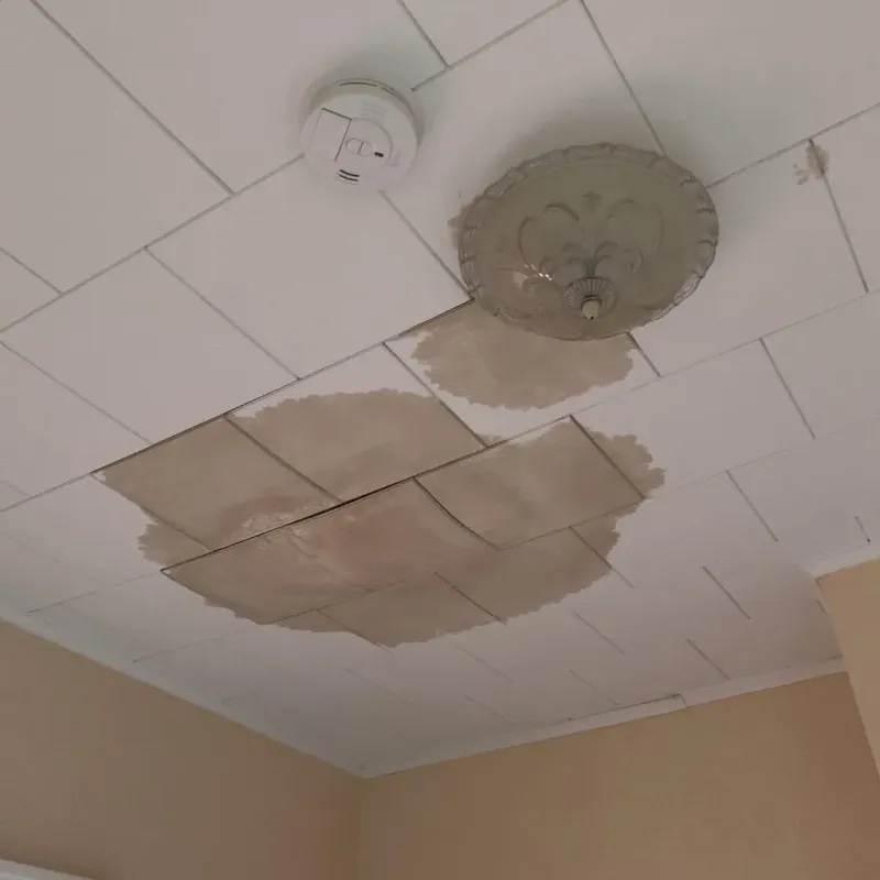 Ceiling Water Damage Repair in Big Sandy, TX
