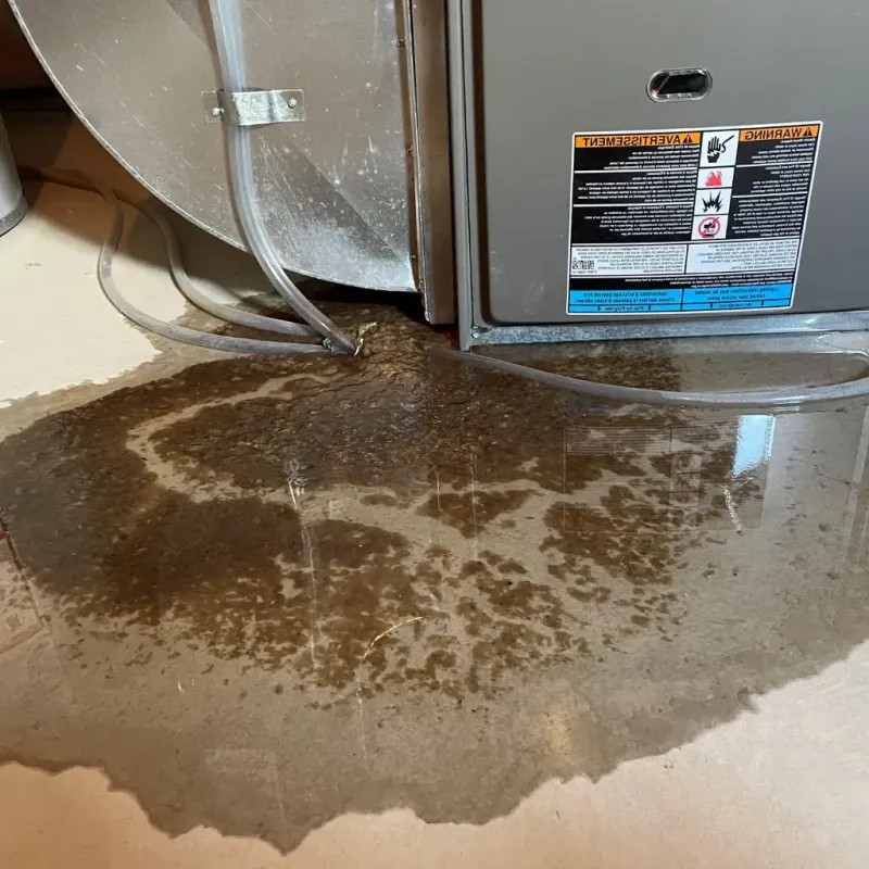 Pipe Burst and Leak Restoration in Big Sandy, TX